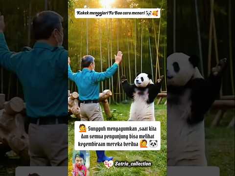 KAKEK MENGAJARI FU BAO BELAJAR MENARI !