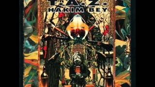02 Poetic Terrorism - Hakim Bey &amp; Bill Laswell