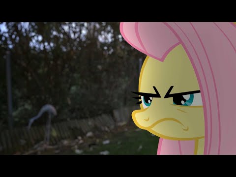 Fluttershy (MLP in real life)