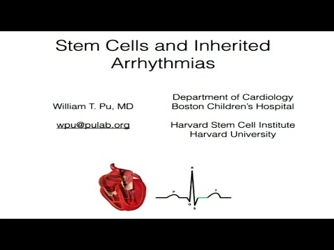 Stem Cell Research in Long QT Syndrome - Long QT Family Day | Boston Children's Hospital