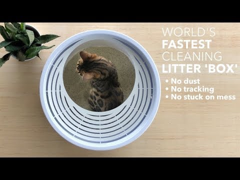 download lagu mp3 mp4 Large Open Top Litter Box, download lagu Large Open Top Litter Box gratis, unduh video klip Large Open Top Litter Box