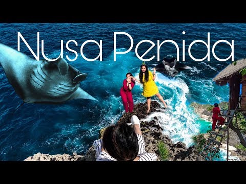 WE CLIMBED A TREETOP HOUSE 🏝 IN NUSA PENIDA?! // NUSA PENIDA, INDONESIA 🇮🇩