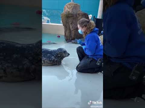 Block & Crown - Jumpin Jumpin [Music mix summer mix - latest songs edm]