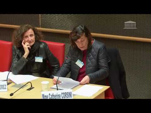 Audition de Catherine Corsini et Élisabeth Perez | Violences dans le secteur culturel