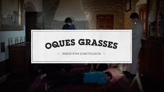 09 - Oques Grasses - Llum Fluorescent