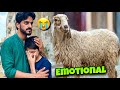 DUMBA GIFT DEKH K FAN EMOTIONAL HOGAYA MISHKAT KHAN BAKRA EID