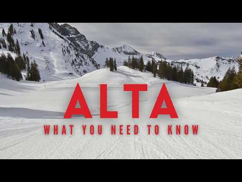 Alta Ski Resort Review: Report Card & What You Need To Know