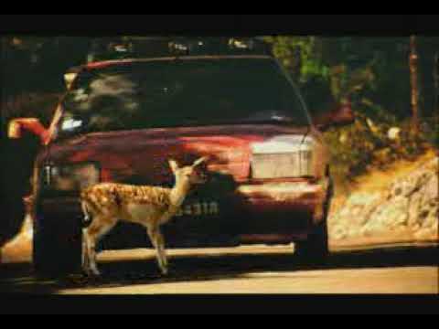 David lynch ps2 commercial bambi