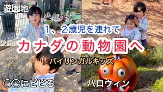 【子連れ動物園】1歳1ヶ月と2歳11ヶ月/紅葉が綺麗/バイリンガルキッズ/子育て/カナダ