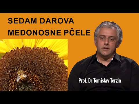 SEDAM DAROVA MEDONOSNE PČELE