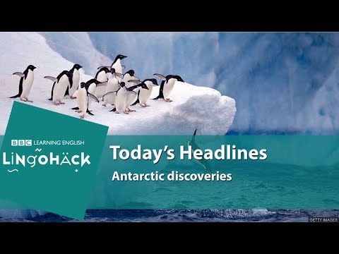 學習今天的詞句：冰川冰、冰海、寒冰、生命之牆、獨特的生態系統。 (Learn today's words and phrases: glacial ice, icy seas, frigid ice, wall of life, unique ecosystem)