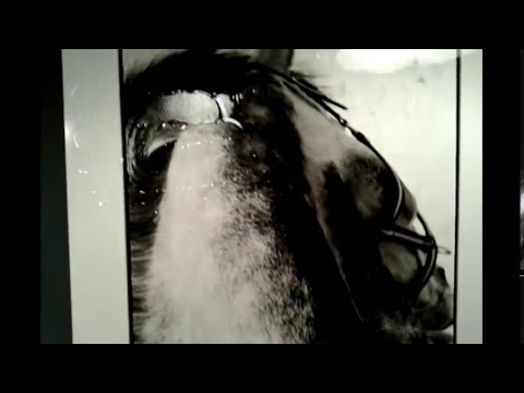 Sessione di stampa in camera oscura -- Darkroom baryt prints - wash