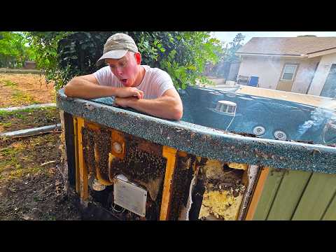 40,000 Bees in a Jacuzzi!