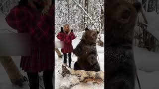 【TikTok】衝撃?これ本物クマ?❔  #TikTok#shorts#衝撃映像#クマ#熊#本物#christmas#クリスマス#踊ってみた#おすすめ