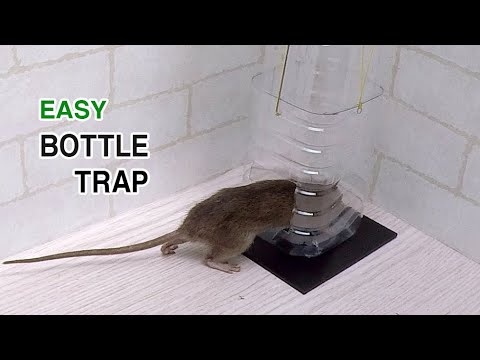 , title : 'bottle rat/mouse trap'