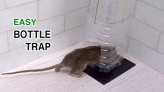 bottle rat/mouse trap