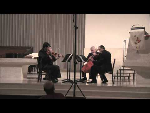 Haydn - Quartet in D Major ("Lark") Opus 64, No. 5 Allegro moderato
