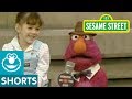 Sesame Street Telly Interviews A Big Sister