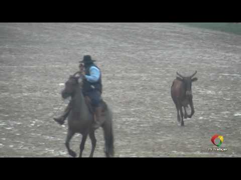 23º Rodeio Internacional do Conesul - Laço Dupla - Cidade de Santa Maria