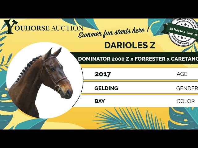 Darioles showvideo