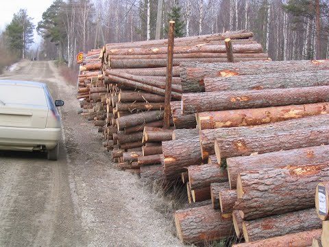 Metsolan Metsäkoulu 108 - Miten puukauppa tehään