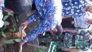 preview picture of video 'video menanam tanaman langka'