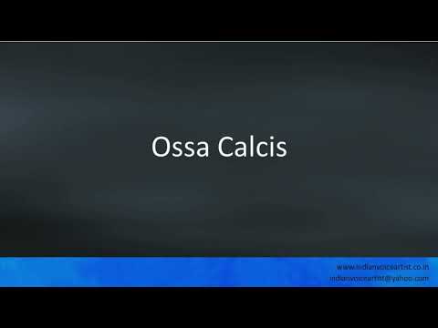 Pronunciation of the word(s) "Ossa Calcis".