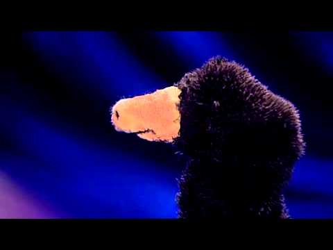 René Marik - Sprecherziehung Maulwurf