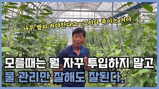 처음 시작하시는 분들은 꼭 봐야 하는 영상