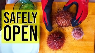 3 Safe Ways to Open Sea Urchins (and Easily Extract Roe/Uni)