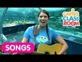 Sing The Baby Shark Song With Real Sharks At The Aquarium