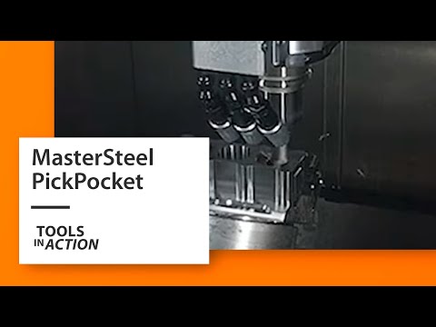 GARANT MasterSteel PickPocket in 1.7131