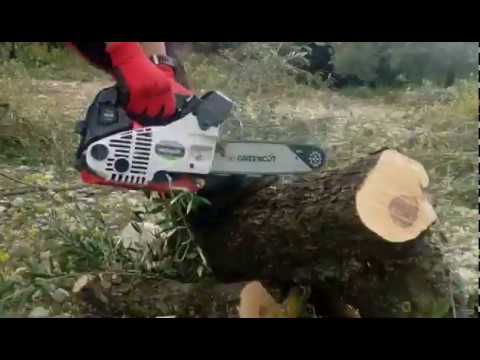Motosierra barata Greencut GS250X 12" 25cc y 1,4cv peso 3kg Tala y poda olivos