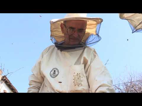 Boja meda ep. 193 16.11.2021. Grabež pčela, vaora, nozemoza, temperatura vazduha