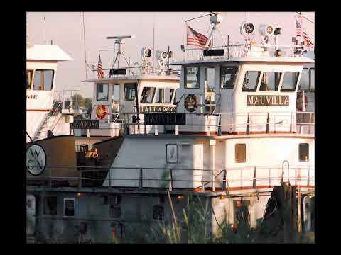 1993 Big Bayou Canot Rail Disaster