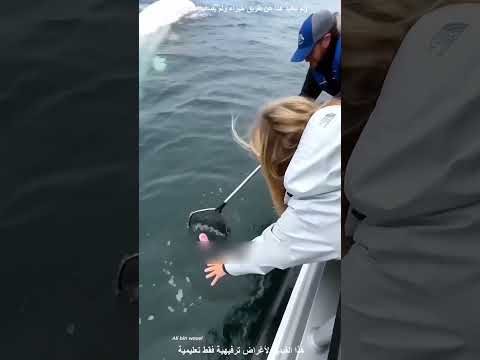 أمي تنادي علي امام الجميع