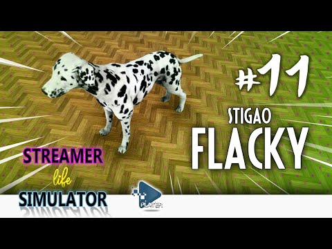 KUPIO SAM PSA KOJI STVARA PROBLEME - Streamer Life Simulator #11