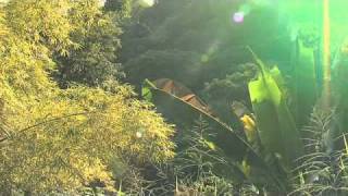 The Solitary Alchemist: Nature is a perfection