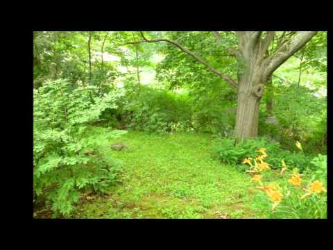 Charming Cape - Swampscott Real Estate