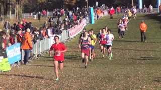 preview picture of video 'Cross National de l'Erdre 2013 - Minimes garçons'