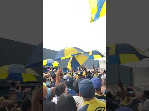 "desde chiquito yo te vengo a ver" Barra: Los Guerreros &bull; Club: Rosario Central