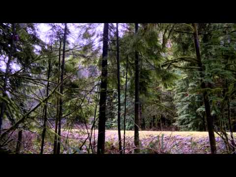 Halálos Célpont [ TELJES FILM - HUN ]