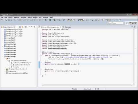 WebSocket JAVA Tutorials (W ClientEndpoint)