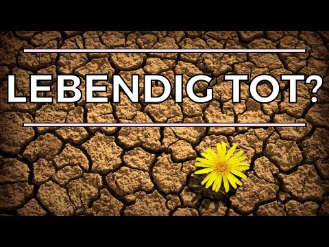 Verschiedene Tode in der Bibel und neue Himmel und Erde