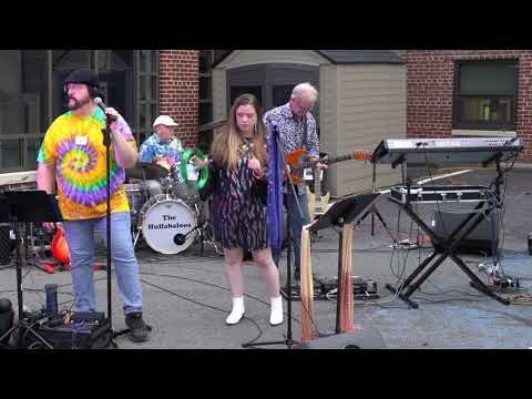 Last Train To Clarksville cover by The Hullabaloos