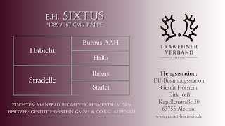Video von Sixtus