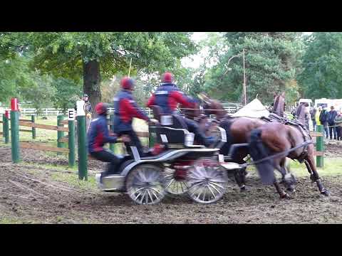 WEBER Chester C , USA, CAI 3#  H4, Donaueschingen, Marathon Ob 2, 16 09 2017