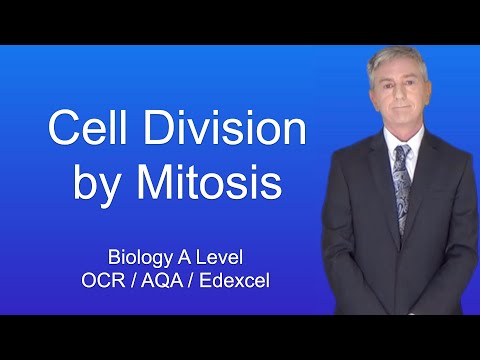 A Level Biology Revision "Cell Division by Mitosis"