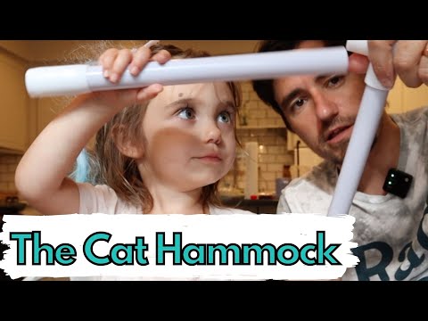Cat Window Hammock!  Unbox, review, and give away.  Dr. Dan and Hazel Show.