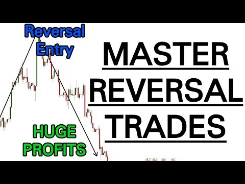 reversal krieger v2 prekybos sistemos apžvalga
